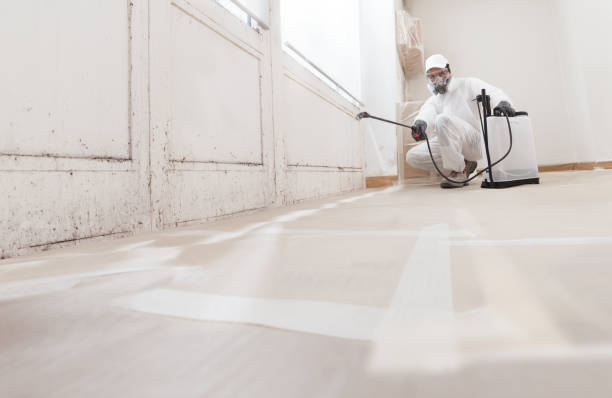 24/7 Emergency Mold Remediation experts in Fairplay, GA