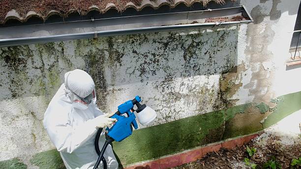 Top rated local Mold Remediation specialists in Fairplay, GA